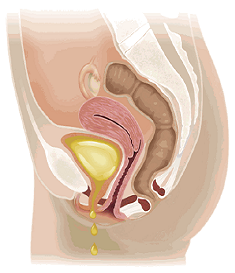 Best urologist in Nashik