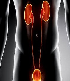 Best urologist in Nashik